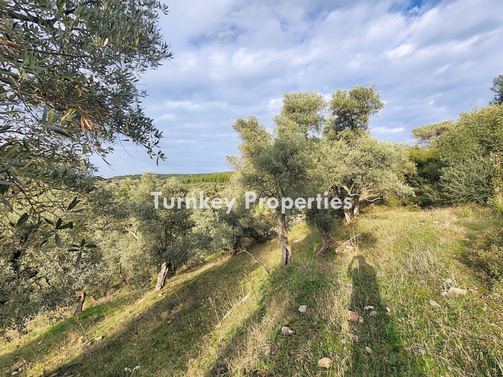 Turnkey Property Bodrum