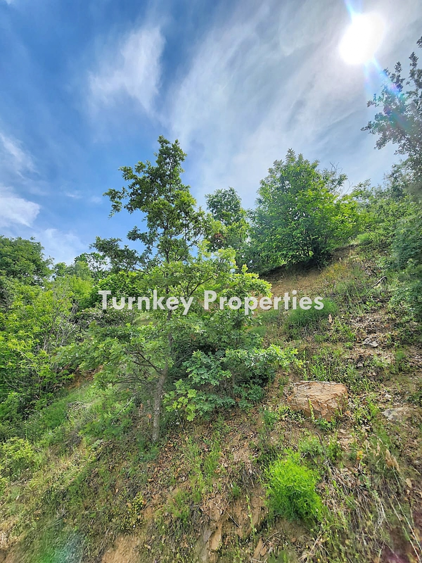Turnkey Property Bodrum