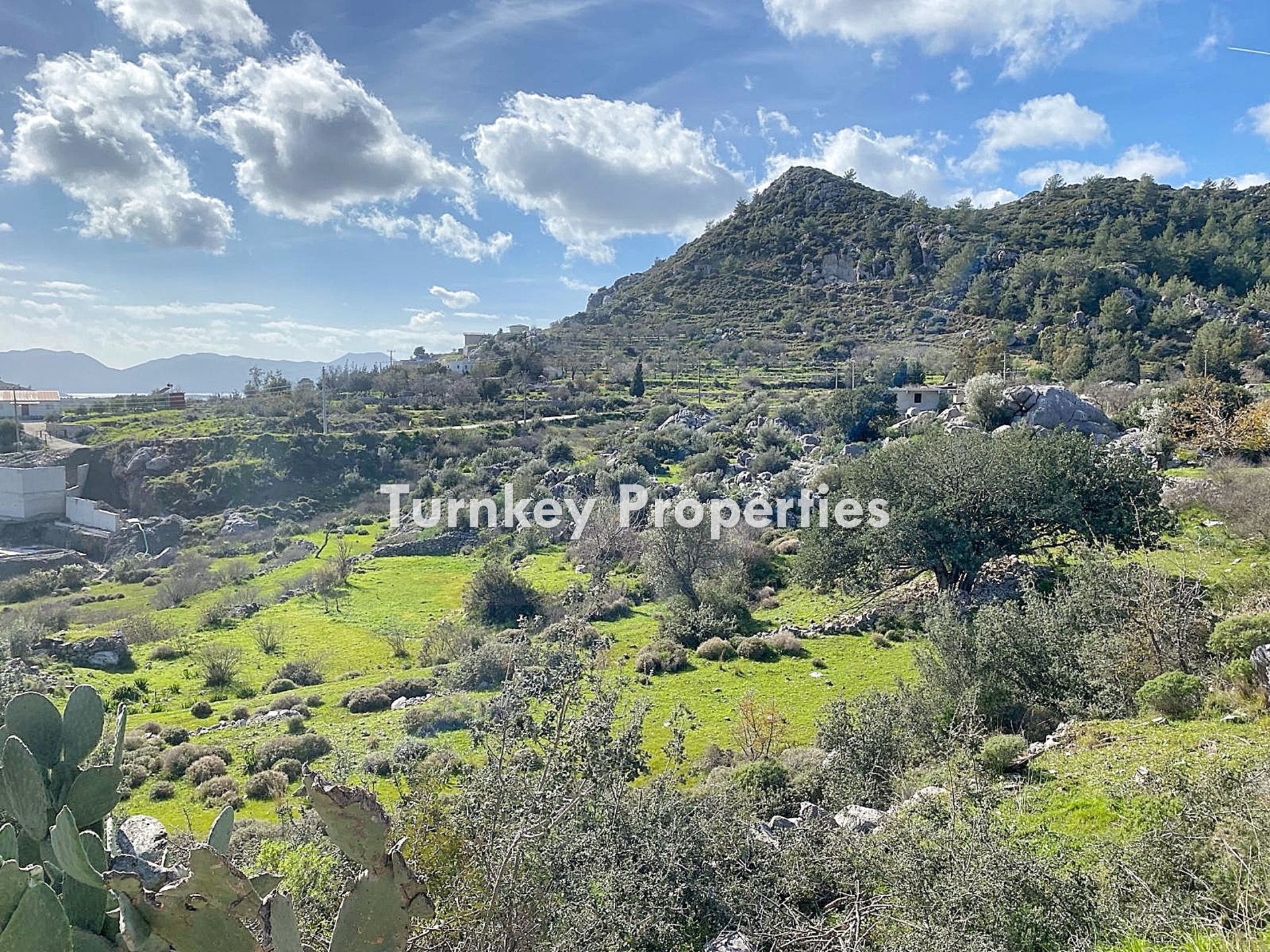 Turnkey Property Bodrum