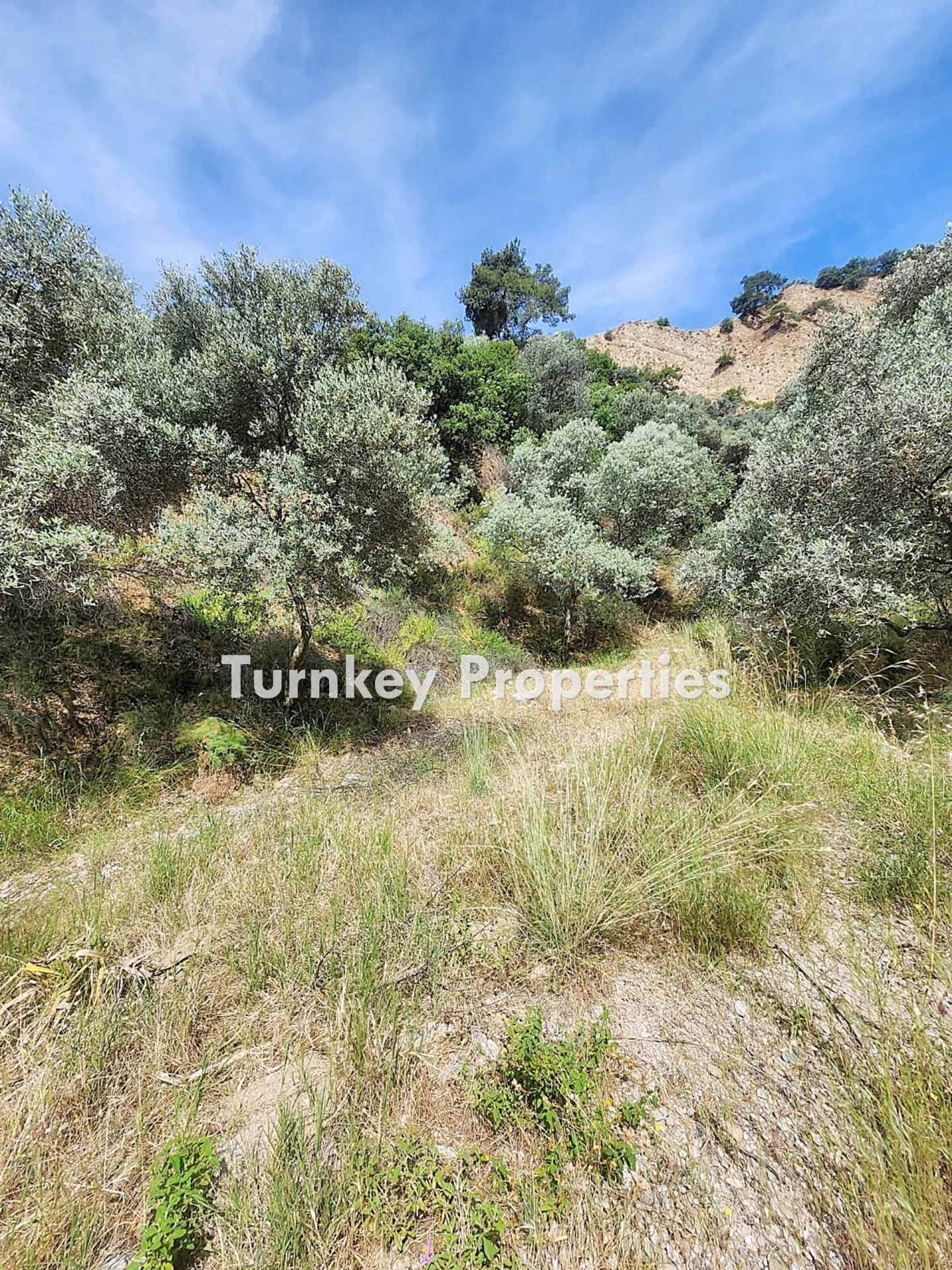 Turnkey Property Bodrum