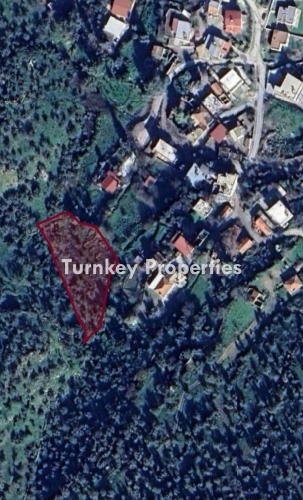 Milas Dörttepe'de Satılık 2.139 m² Zeytinlik Arsa, Doğal Güzellikler ve Geniş Vadi Manzarasıyla