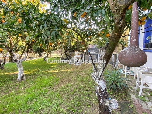 Bodrum Gundogan Land and House for Sale | Investment Opportunity with Citrus Orchard and Hobby Garden Potential