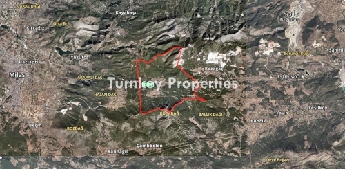 Olive Grove Land for Sale in Korucuk, Milas | 3,404 m² Investment Opportunity in Bahçeyaka