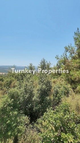 Cooperative Land Share for Sale in Milas, Cam Neighborhood | 100,000 TL Down Payment and 12-Month Installment Plan