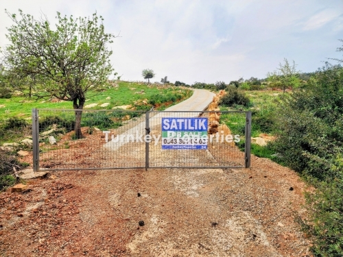 Kumköy, Bodrum Satılık Arazi 11.555 m² Yatırım Değeri Yüksek