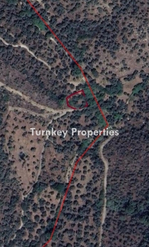 Milas Ertenli’de Doğa ile İç İçe 460 m² Satılık Zeytinlik – Yatırımlık Fırsat