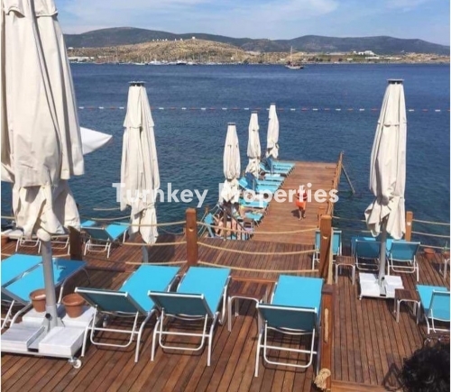 Aura Residence Bodrum Kiralık Daire | Asarlık'ta Denize Sıfır ve Konforlu Yazlık