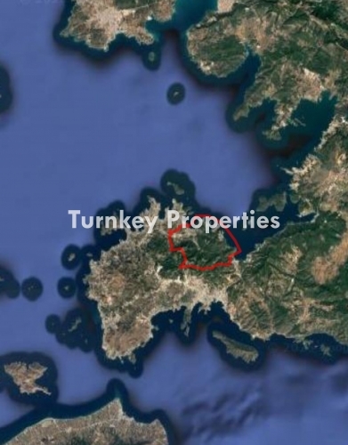 Bodrum Göl Mahallesi Satılık İncir Bahçesi, 5.300 m² Tarla