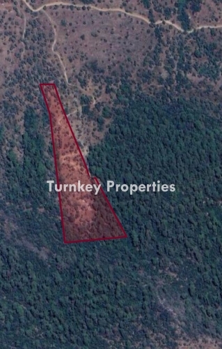 Milas Karakuyu’da Satılık Arsa – 15,869 m² Zeytinlik ile Yatırım Fırsatı