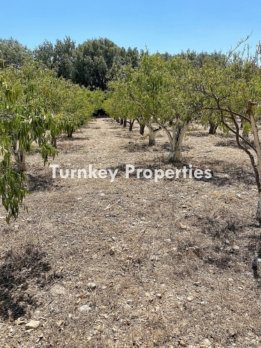 1,700 m² Land for Sale Near Village Center in Bitez, Bodrum