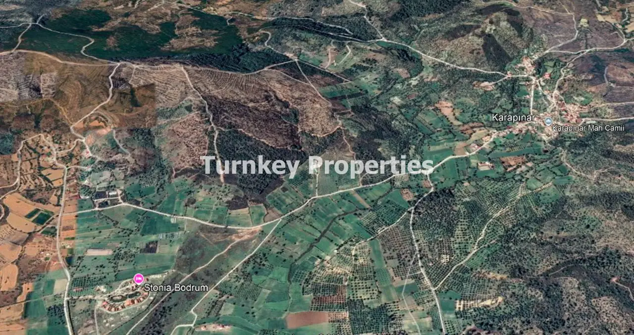 Halber Anteil an ebenem Agrarland in Karapinar bei Milas zum Kauf — 4